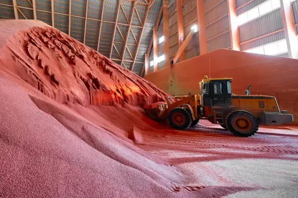Industry Rankings: Top Producers of Urea by Country
