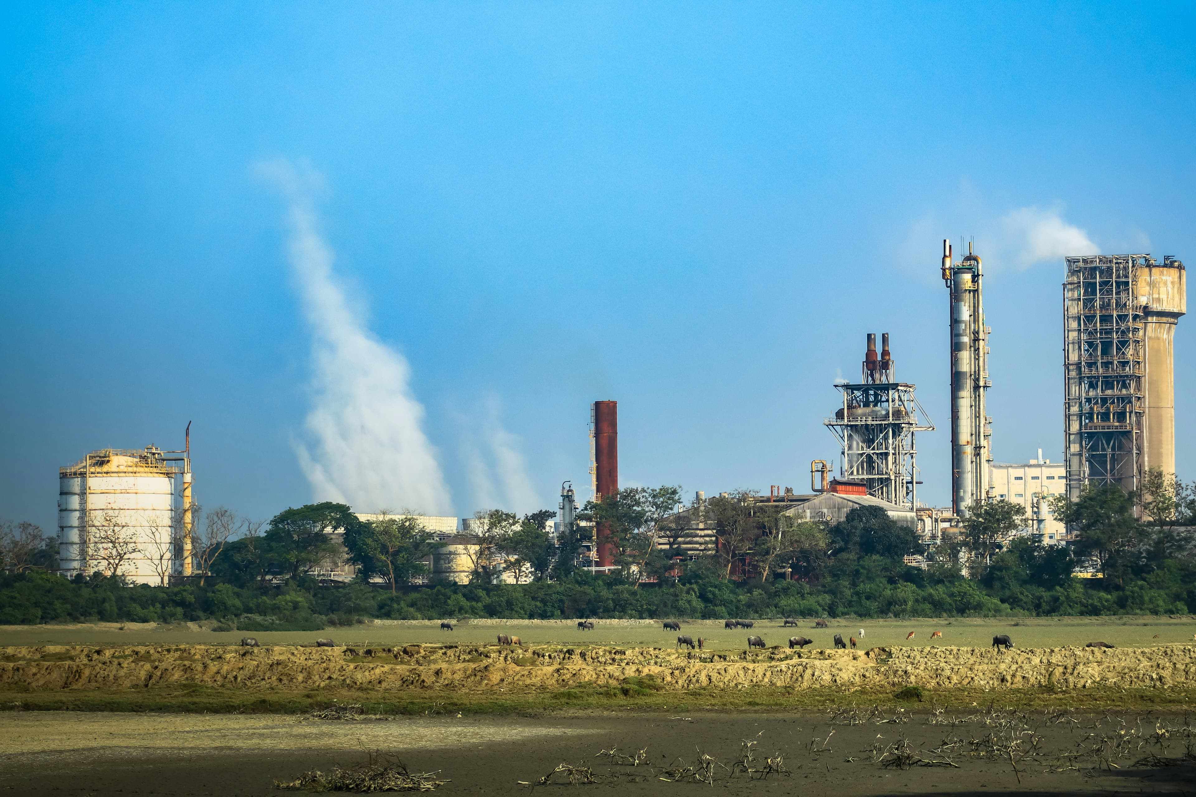 Alerta temprana de escasez de API: el reinicio de la fábrica en Bangladesh como indicador indirecto