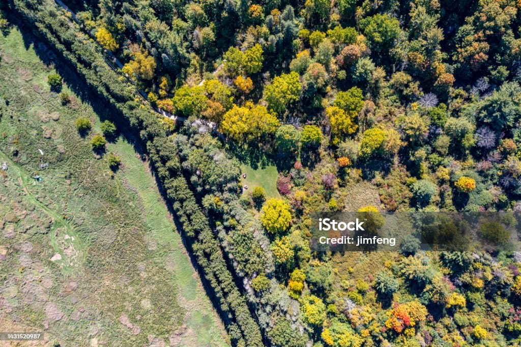 探索伍德·麦肯齐薄弱的投资渠道:2027-2028 年化工市场手册