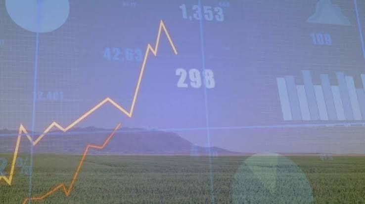 بلغ سوق الكيماويات الزراعية العالمية 251 مليار دولار في عام 2026
