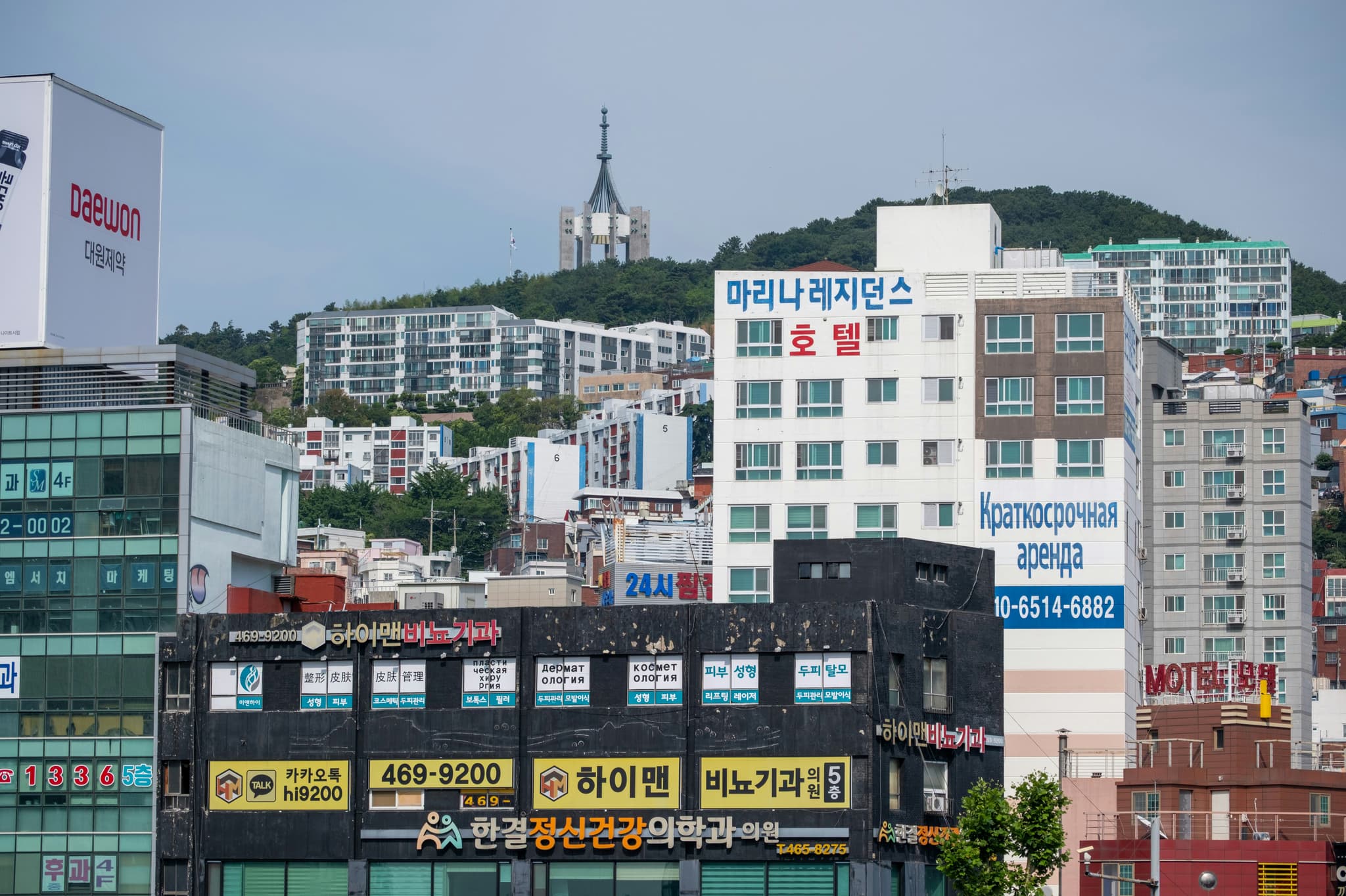ST Pharm和Kyongbo扩张:解读韩国高价值原料药制造业的赌注