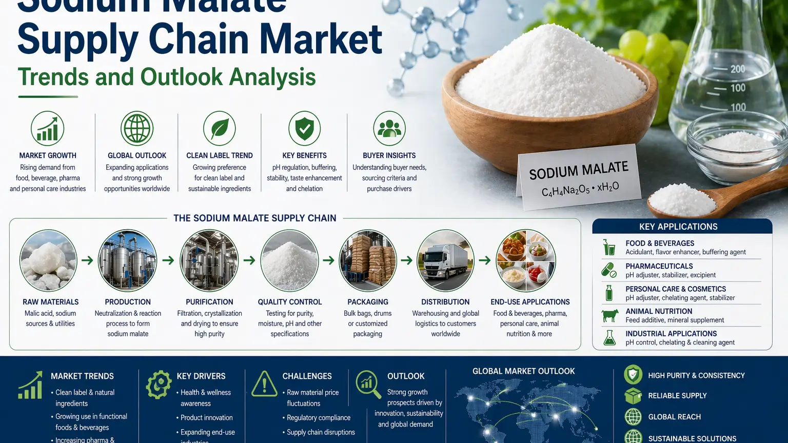 Análisis de tendencias y perspectivas del mercado de la cadena de suministro de malato de sodio