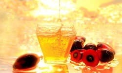 Oléine de palmiste RBD