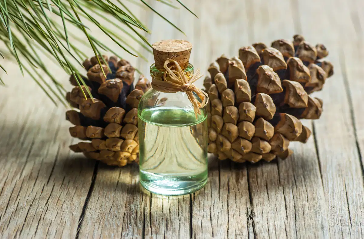 Turpentine Oil's Role in Shaping Sustainable Production Method