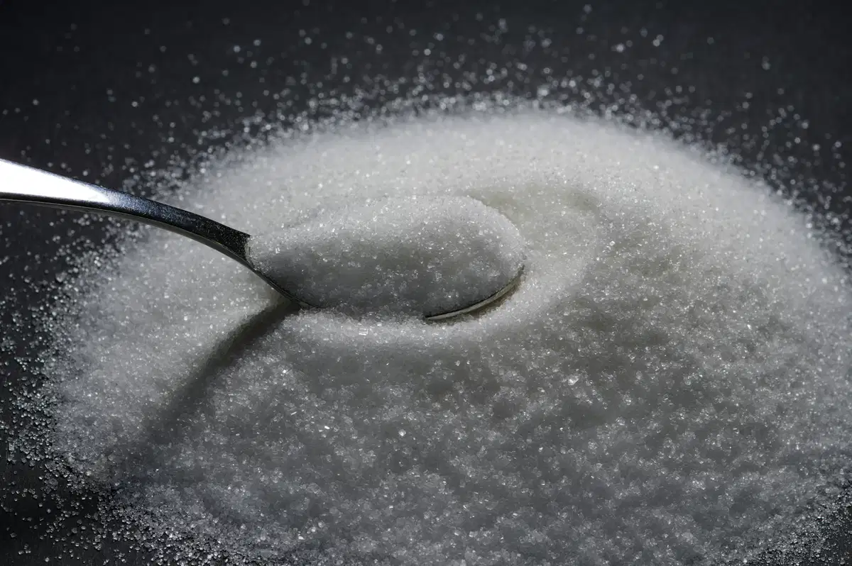 Sorbitol Supply Chain: India's Gulshan Polyols Integrated Gujarat Facility Gains Post-Crisis Advantage